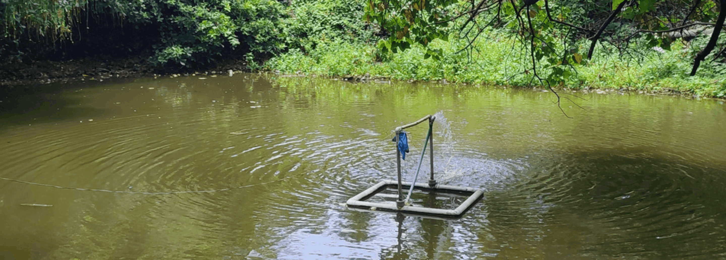 BAVKHALS: Vasai’s 200-Year Water Legacy Under Threat